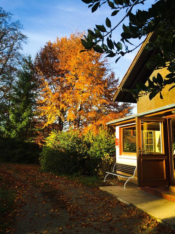 Le Chalet Luttenbach-près-Munster Eksteriør bilde
