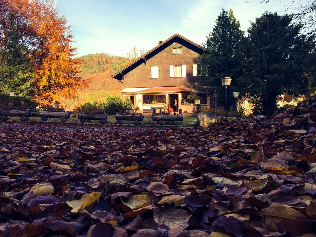 Le Chalet Luttenbach-près-Munster Eksteriør bilde
