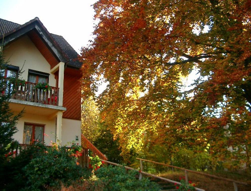 Le Chalet Luttenbach-près-Munster Eksteriør bilde