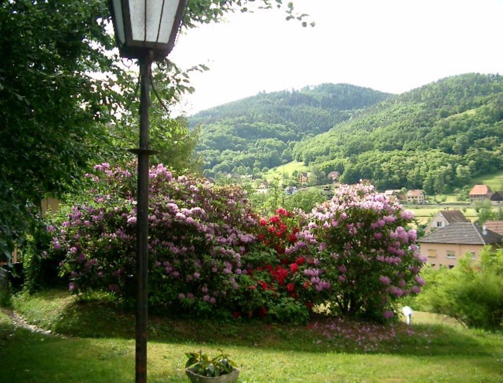 Le Chalet Luttenbach-près-Munster Eksteriør bilde